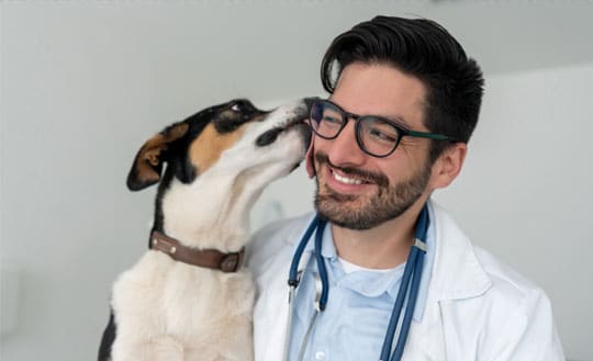 Dog licking a veterinarian's face